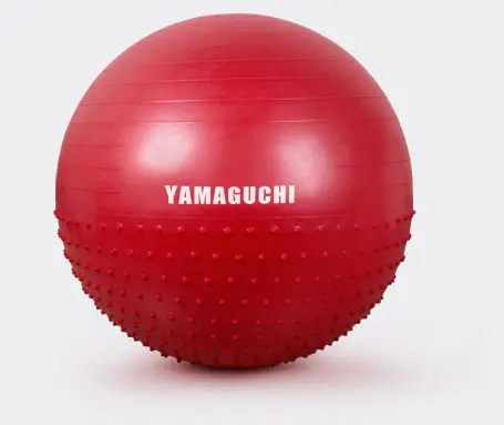 FIT Ball Cover