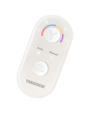 controller