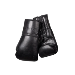 Боксерские перчатки Boxing Gloves