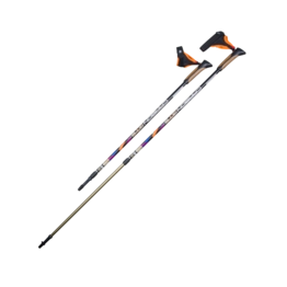 Двухсекционные палки для скандинавской ходьбы US MEDICA Carbon GTS
