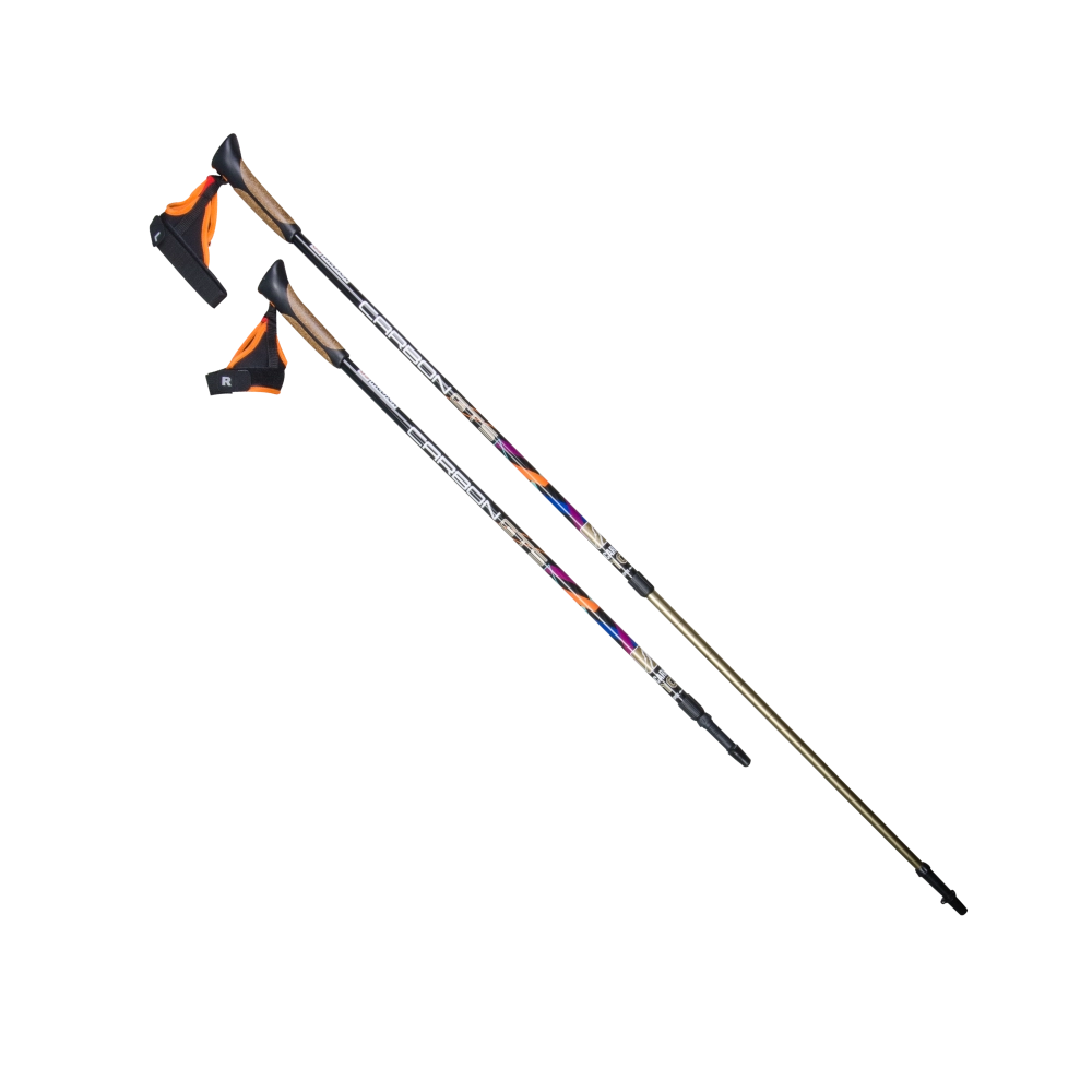 Двухсекционные палки для скандинавской ходьбы US MEDICA Carbon GTS